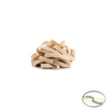 Tagliatelle Senatore Cappelli